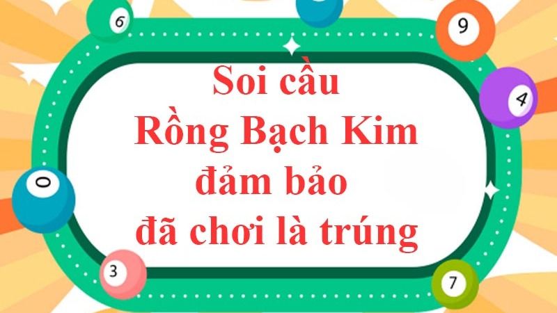 Khái quát về soi cầu Rồng Bạch Kim